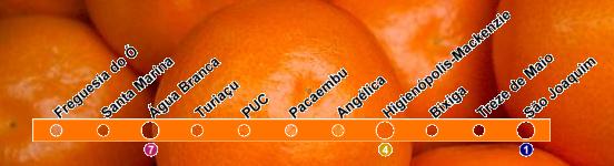 oranges